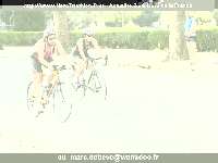 17564 photo